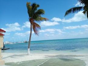 Beautiful condo a few stps to sea